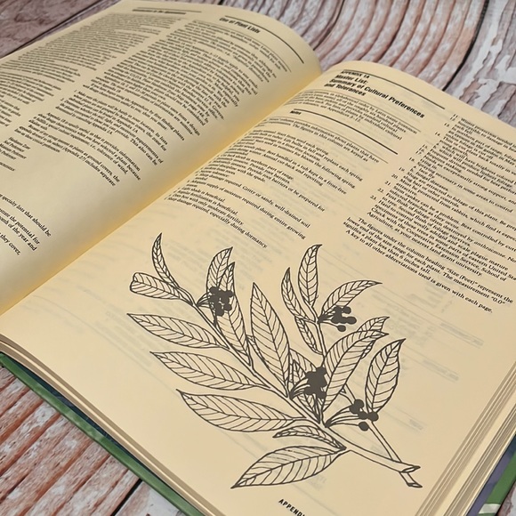 The Exuberant Garden and the Controlling Hand - Picture 13 of 16